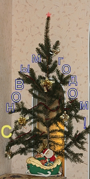 &nbsp; / Мир вашему миру в новом году!