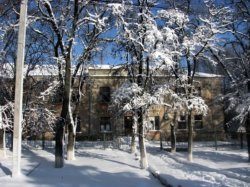Снег / Прошел снегопад и украсил деревья