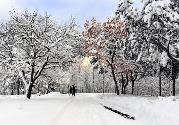 Прогулка / ***