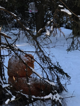 &nbsp; / Кого только на лыжне не встретишь )