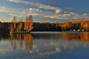 Осенним вечером..... / Петербург. Осиновая Роща. Октябрь