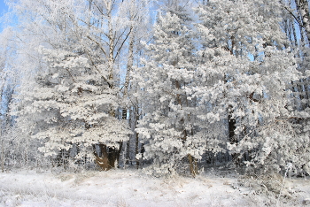 С Наступающим!!! / Всем всего наилучшего, чудесного года,ярких впечатлений, новых сюжетов, исполнения желаний!!!
