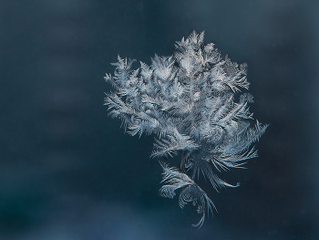 узоры на стекле... / ...