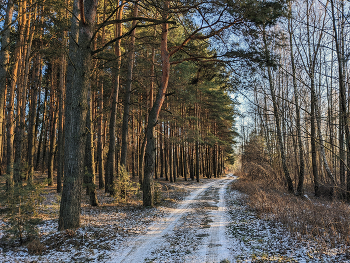 Зимними дорогами / &quot;&quot;&quot;&quot;