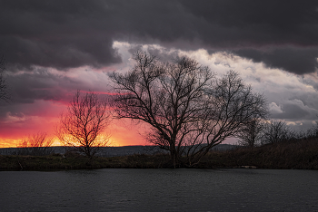 Южный зимний вечер / Кубань