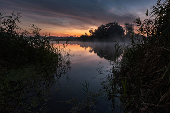 Запах реки / ***