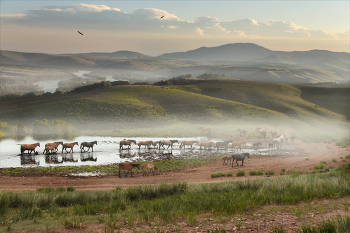 На просторах Алтая / На просторах Алтая