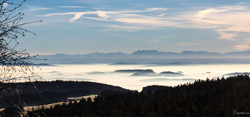  / Nebelmeer im Rheintal, im Hintergrund die Alpen
