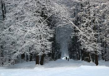 Зимняя погода наладилась... / Погуляем в январе 2022 года !
