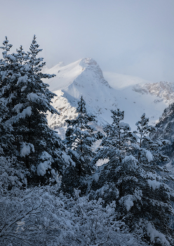 Из серии «Архызская зима» / Декабрь, 2021 г.
Из фотопроекта «Кавказ без границ».