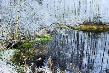 "Как перед зеркалом блудница, осень поздняя томится..." / "Как перед зеркалом блудница
 На склоне лет горюет над собой
 И слезы льет над вянущей красой, -
 Так Осень Поздняя томится
 И горько плачет над землей ..."
А.Тиняков