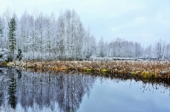 "Поздняя осень. Ни много, ни мало ..." / "Что же так утро тревожно синеет .
 Сердце мое отчего леденеет?
 Что это - грусть? Грусть. Ну и пусть.
 Но все равно я к тебе не вернусь.
 Поздняя осень на сердце упала.
 Искра, что жизнь украшала, пропала.
 Что же со мной и душой моей стало?
 Поздняя осень. Ни много, ни мало ..."
 С.Страусова