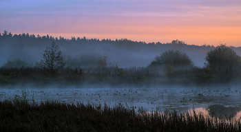Утренний сон. / Озеро Сосновое перед восходом. Мещера.