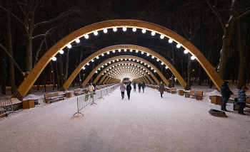 В Сокольниках / Сокольники