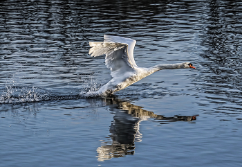 Старт / Старт