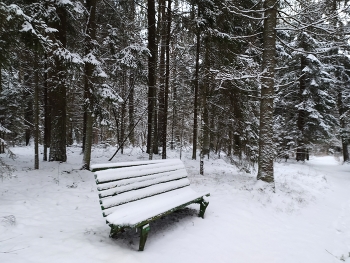 В парке бродит зима... / Зимний парк как нарисованный, В зимнем парке снегопад. Спят скамейки под сугробами, Под снежком качели спят ....