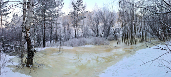 Ручей Кайдаловка / ручей