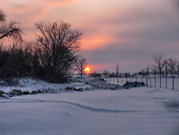 Зимний закат... / Дорога, деревья, снег, небо,солнце