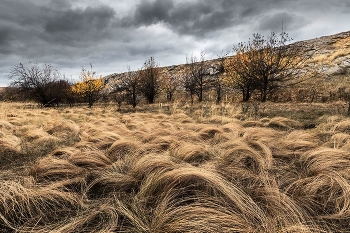 Осенние локоны / Осенние локоны