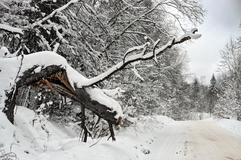 &nbsp; / дороги....