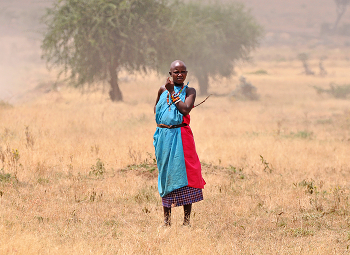 Масайская красавица / ...
