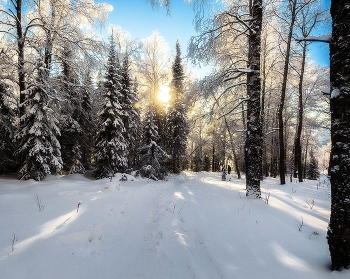 По тропе на хребет Москаль / Южный Урал