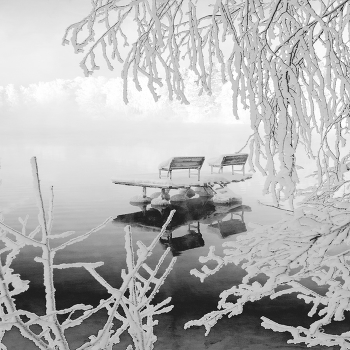 мостик / снято в зимние каникулы на озере