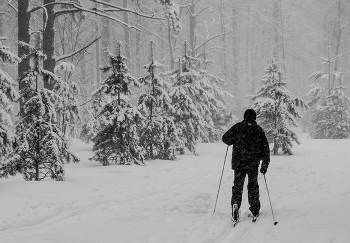 Тула. На лыжне в ЦПКиО / зима снег лыжня лыжник Тула ЦПКиО