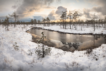 &quot;Прогулка по зимнему болоту&quot; / Болота ленинградской области прекрасны в любое время года, в том числе и зимой