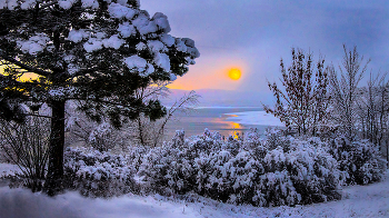 Зимняя пастэль / Крым