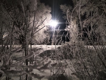 Зима / Ночь