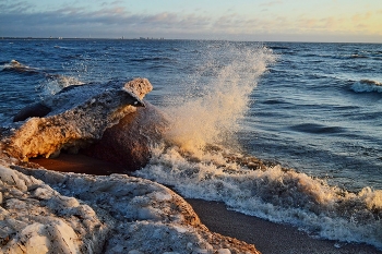 Свежий ветер...... / Петербург. Репино. Январь