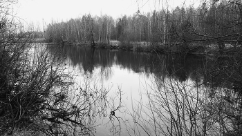 Пруд в окрестностях платформы "43 км" (Горьковское направление) / Пруд в окрестностях платформы "43 км" (Горьковское направление)