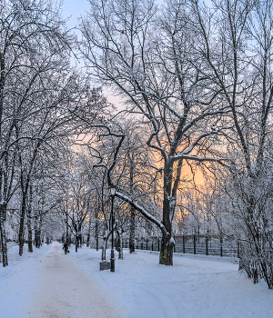 Утро / Кронштадт