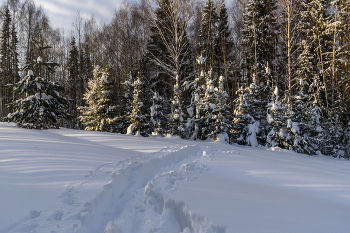 Лесными тропинками / Прогулка зимним днем по свежему снегу