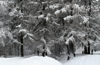 Прогулки и игры в парке... / Хороша зима в парке Кусково...