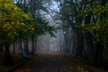 В старом парке........ / Железноводск. Октябрь