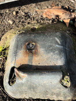 &nbsp; / Du erscheinst