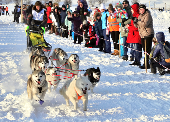 Гонки на собачьих упряжках / Международная линейная гонка на собачьих упряжках «Baikal Race». Участники проходят дистанцию в 56 км, а отдельные бегут 155 км.