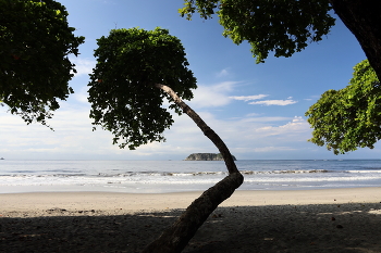 берег океана / ***