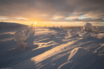 &quot;Снежная поземка&quot; / Постоянные ветра и метели создают на вершинах заполярных гор довольно суровые условия для жизни растений, здесь господствуют настоящие арктические ландшафты