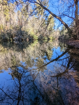 &nbsp; / A reflective portion of water inside of Cumberland Mountain State Park.