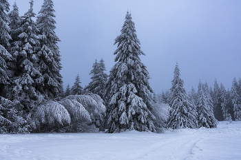 Зимний вечер. / Зима,вечер,снег,лес,зимняя дорога.