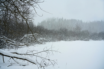 На краю снегопада. / На опушке леса в снегопад.