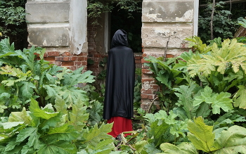 из цикла "Она жила здесь..." / из цикла "Она жила здесь..."