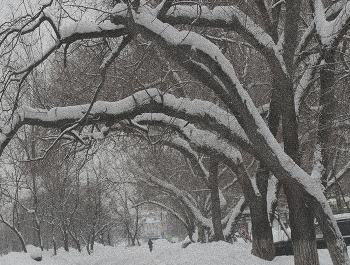 А в Москве в феврале... / ... метелица с влажным снегом...