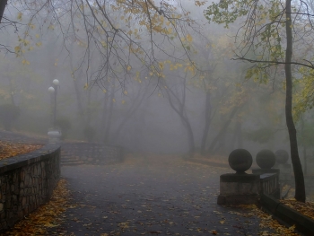 В туманном парке..... / Железноводск. Октябрь
