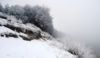 Лес у Оки. / Зимнее утро и туман над рекой. Левом берегу Оки.