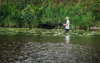 В засаде / В засаде