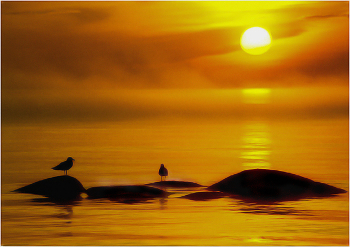 Золото Фнского залива / Скан с плёнки , закат, туман